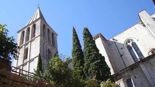 Todi unica