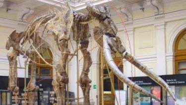 Museo di Storia Naturale Giacomo Doria