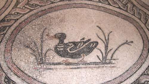 Visita guidata alla Villa dei Mosaici