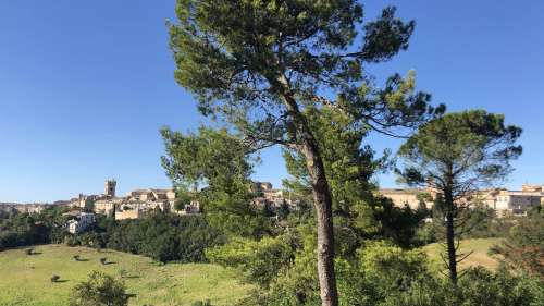 Torre del Borgo e MuRec