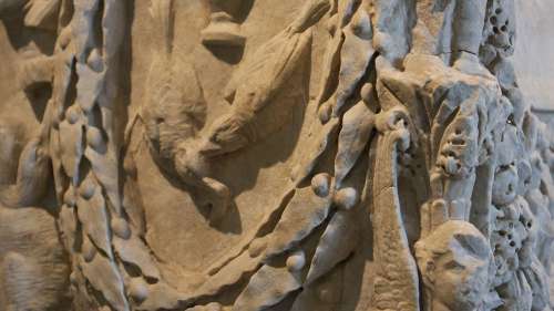 Gli animali del museo raccontano le fiabe di Fedro