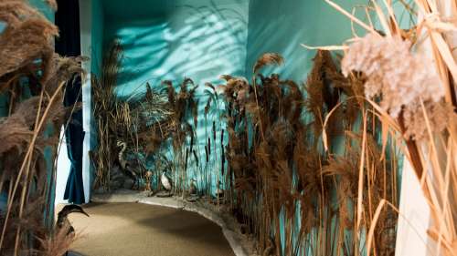 Visita guidata al Museo della Pesca e del Lago Trasimeno