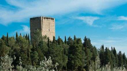 Visita guidata alla Torre dei Lambardi 