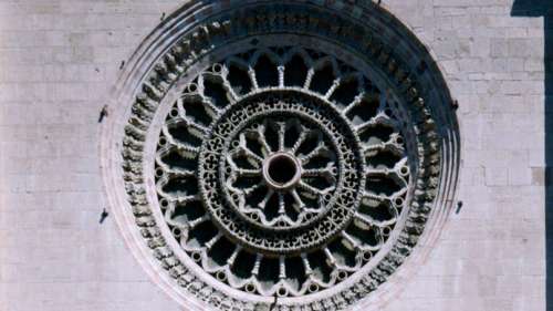 Todi unica