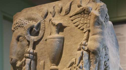 Gli animali del museo raccontano le fiabe di Fedro
